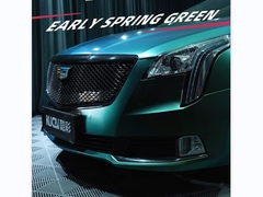 สี TPU เขียวต้นฤดูใบไม้ผลิ (กระจ่าง)